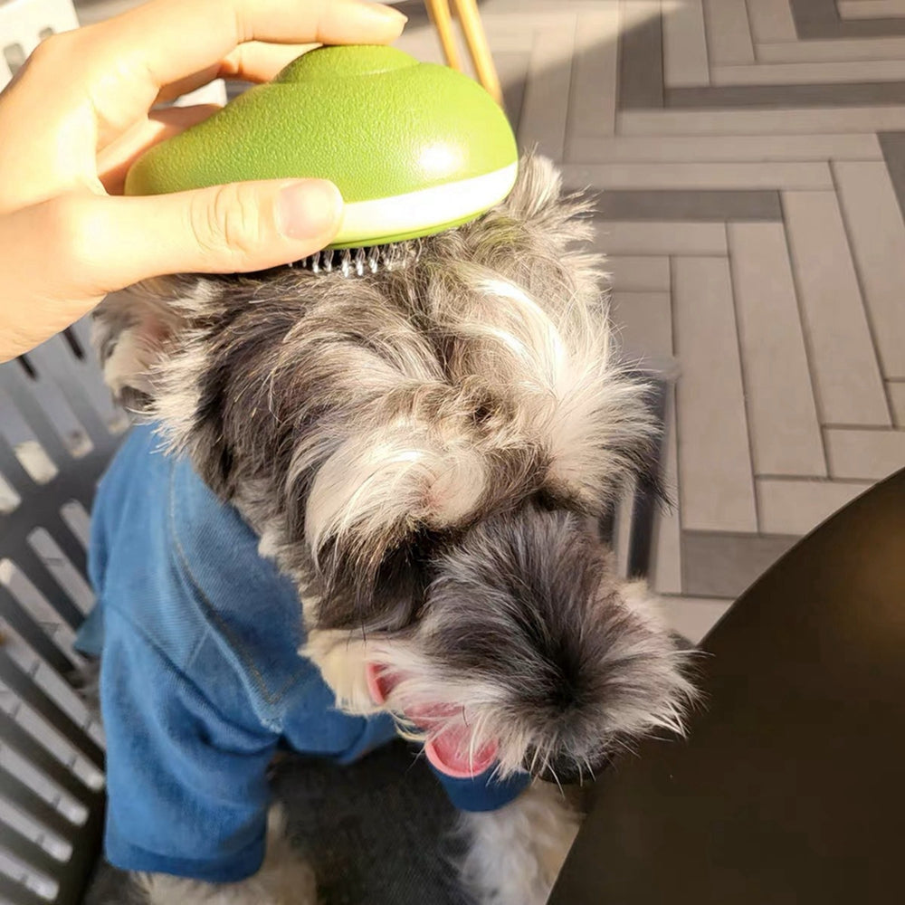 Creative Cat Grooming Comb Portable Massage Brush for pets