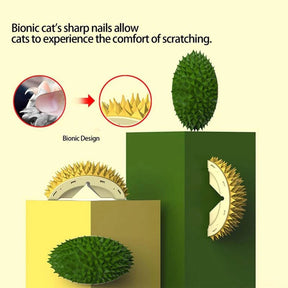 Durian Cat Brush Dog Self Groomer, Wall Corner Massage Combs